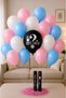 Girl Gender Reveal Party: Is the Baby a Girl? Male? Girl & Boy Foil Balloon & Girl Balloon Set Concept Girl Confetti