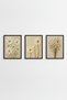 3-Piece Daisy and Wildflower Textured Look Black Wood Framed Mdf Painting Set - Boho Living Room and Bedroom Wall Decor - Triple Painting Set Black Frame - 3