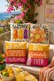Ice Cream Summer Patterned 4-Piece Throw Pillow Cover Set