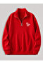 Men's Standing Collar Zippered Printed Oversized Sweatshirt
