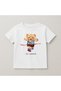 Teddy Bear Printed Crew Neck Cotton Short Sleeve Kids & Youth T-Shirt