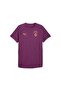 Galatasaray Evostripe Men's Slim Fit T-Shirt