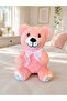 35 cm Plush Teddy Bear with Ribbon, Gift for Lover, Birthday Gift, Pink
