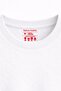 Holland Tulip Fields T-Shirt - 4