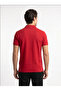 Polo Collar Slim Fit Embroidered 100% Cotton Premium T-Shirt - 4