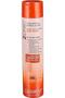 -2chic Ultra-Moist Body Wash 310ml