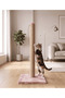 70 cm Pink Cat Scratching Board - Jute Rope Cat Scratcher with Sturdy Base - 2