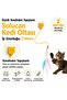 2 Meters Elastic String Self-Adhesive Cat Fishing Rod Toy with Feathers and Rattles - 3