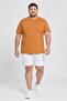 Men Slim Fit Short Sleeve Training T-Shirt, Light Brown - 3