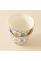 Mosaica 6-Piece Bone China Kahwa Cup Set - 80 ml - 5