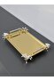 Figured, Metal Handle, Stainless Steel Rectangular Tray Luxury Presentation Tray North Gold-Silver - 6