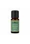 Eucalyptus Essential Oil 100% Pure 10 ml - 3