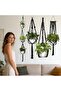 Plant Hanger Set 5 Pieces Boho Macrame | Different Sizes Plant Pot Holders for Ceiling Wall Hook She - 2