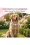 Wedding wreaths, headpieces, floral crowns, bows, and dog hair accessories, 21cm, elegant pet suitable for weddings, holidays, birthdays - 3