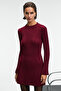 Encanto Women's Round Neck Stripe Pattern Slim Fit Burgundy Dress - 4