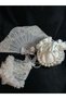 Vintage Lace Bridal Handbag Bridal Fan and Bridal Handkerchief - 3