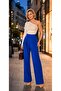 Women's Cobalt Blue High Waist Palazzo Pants with Cirt Closure, Compatible with Zero Sizes