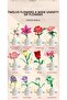 Peony Flower Building Blocks 72 Pieces - 5
