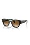 Sunglasses Rb7681S 52 140251