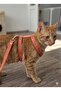 Escape-Proof, Bird-Eye-Proof, Durable, Adjustable, Cat Mini Breed Dog Harness Set Cat Harness, Cat Walking Leash, Cat Waist Leash, Cat Leash and Harness