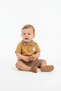 Baby Boy Polo Collar Dog Print T-Shirt and Shorts Set (6-24 Months) - 4