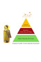 Cream Pistachio 12 ml Concentrated Oil Perfume by Hekayat Attar - 3