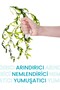 Pack of 10 Seaweed & Collagen Extract Disposable Skin Care Masks - 3