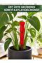 Plant Watering Container Red Distillation - 3