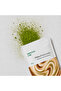 ماتشا لاب - ماتشا بنكهة الشوكولاته 50جم | MatchaLab Chocolate flavored Matcha 50 Gm - 2