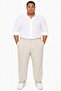 Office Chic Fake Button Wide Leg Beige Baggy Fabric Trousers - 2