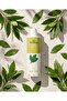 Defneli Shower Gel - 400 ml (Alcohol/Sls/Sles Free.) - 4