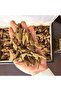 Premium Muroqi Incense - 28g Pack - 2