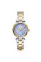 Dk1L043M0085 Women Wrist Watch
