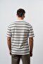 Men's Rs Embroidered Striped Polo Collar Regular Fit T-Shirt Brown - 5