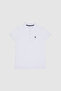 Women's White Polo Collar Basic T-Shirt 50321818-Vr013 - 7