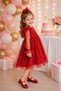 Baby Girl Dress Long Sleeve Tulle Starry Birthday Special Occasion Party Wedding Girl Dress - 3