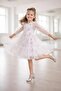 02-06 Years Old Tulle Flower Patterned Baby Dress - Powder
