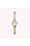 Women's Two-Tone Stainless Steel, Gold-Tone | TW2Y66900