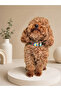 Rainbow Patterned Adjustable Dog Collar and Leash Set 3 Sizes S - L - m - 3