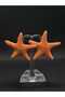 Sea Star Model Mine Handcrafted Steel Women's Earrings Summer Model Stylish Accessory Jewelry Titanium Summer Style New Gift Luck - 8