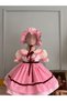 Gingham Pink Baby Girl Dress Birthday Holiday Dress Children's Dress - 6