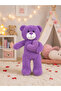 Heart-Shaped Plush Teddy Bear, Special Birthday Gift for Love, Playmate I