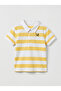 Boys Y/D Stripe Polo Tshirt S/S, 12M