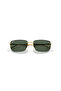 3768-001/71-56 17 145 Frame: Arista Gold Glass Color: Dark Green - 6