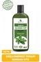 Nettle Shampoo, Anti-Hair Loss, 485 Ml, Pack of 12 - 4