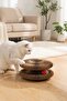 ®   Accordion Cardboard Cat Scratching Toy – Foldable Interactive Cat Toy with Magnets - 2