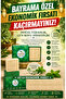10 Menthol Natural Soaps – Feel the Freshness with Every Wash, Each Soap Comes in Its Own Special Box