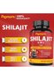 Shilajit Extract Capsules equivalent to 6550mg & Ashwagandha, Ginseng, Saw Palmetto, Maca, Tribulus, Chaga, Pepper | Trace Minerals Fulvic Acid|Immune Support, Brain Boost Supplement, 3 Months Supply - 2