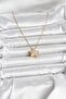 316L Steel Chain Gold Color Zircon Stone Star Model Necklace - 2
