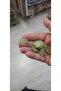 Khaki Color Bag Stamp with Sequins 20 Grams 2 cm Diameter - 2